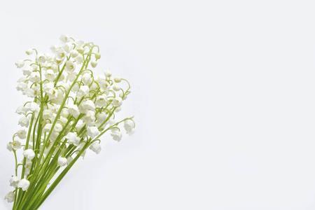 菀菀