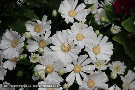 诚信的名言警句