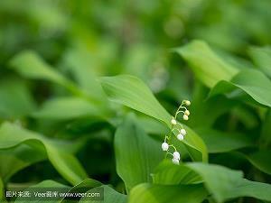 被人忽略心情不好说说