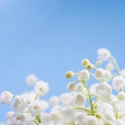 祝老公生日快乐发朋友圈说说