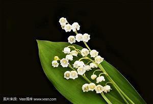 飞黄腾踏去,不能顾蟾蜍