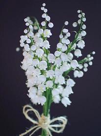 冬至精美走心祝福语短句(精选71条)
