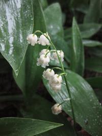 《名人传》读后感大全