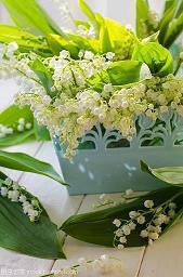 喜迎感恩节祝福语