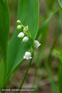 感恩顾客走心的话
