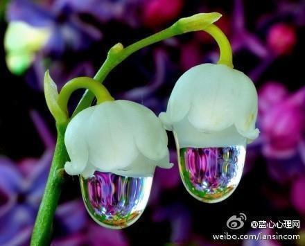 灋
