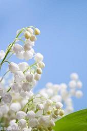 小学生贺卡教师节祝福语