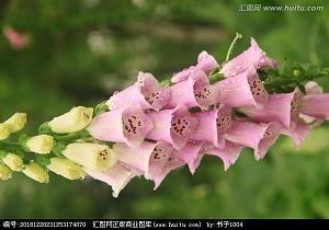 情感励志故事：属于自己的幸福天地