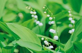 大学秋季运动会通讯稿100字50篇