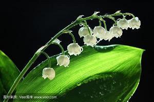 邪赢