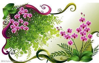 牛年新年贺卡祝福文案大全