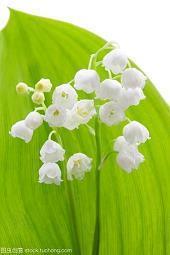 生日发红包最暖心短句的句子