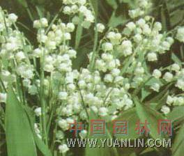 能上快手热门的伤感短句