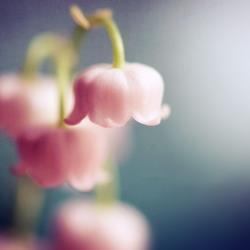 氲