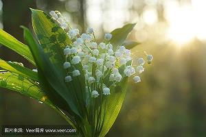 【精选】儿童节祝福语英文简短2021年汇编128句
