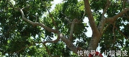 走在乡间小路上的唯美说说