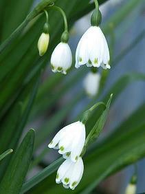 圣诞节的经典搞笑祝福语