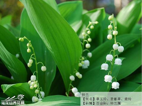 15字寄语大气大全