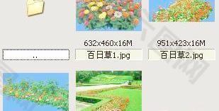 最新元宵节给晚辈的祝福语