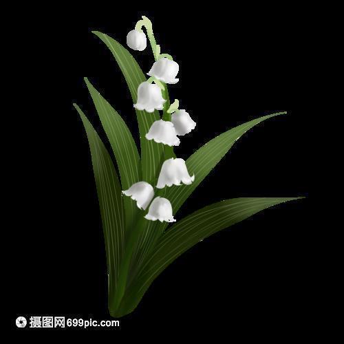 心向阳光正能量的句子 朋友圈 每天都有阳光的心态说说