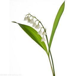 收红包形容开心的句子