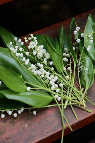 2021教师节简短暖心祝福语(精选81条)