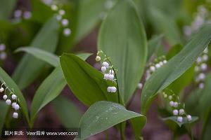 中秋节祝福语简短20字送顾客(精选48条)