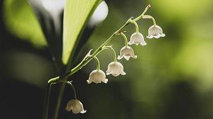 赞扬老师的句子