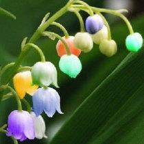 喜迎春节祝福语大全