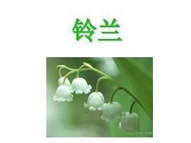 駪駪