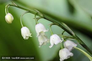 寻味的人生格言是什么 耐人寻味的人生格言是什么