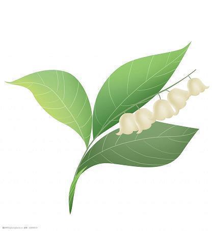 领导生日祝福语短信