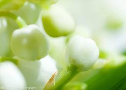 阳光静好岁月唯美句子_静唯美句子