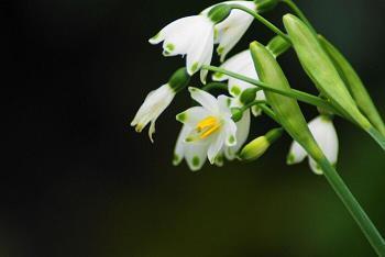师生共同迎接高考的句子大全