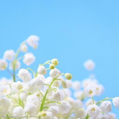 充实忙碌生活的句子