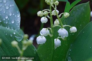情感励志故事：最后的姿势永远的爱（父母之爱是世间最伟大的爱）