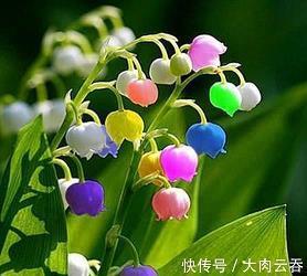 喟