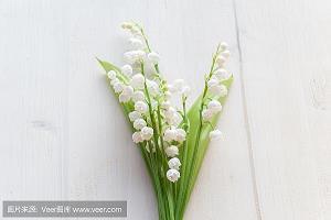 出师表中的名句