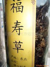 送一路走好的人的话语