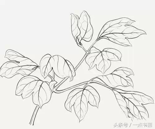 齛