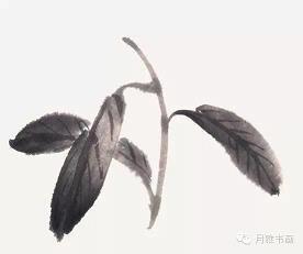 形容石头说话的句子