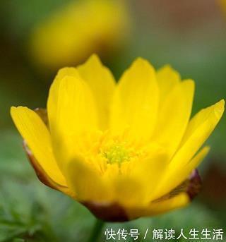 有你真好的句子