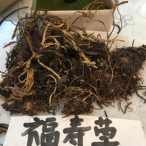 非主流伤感文字火星文