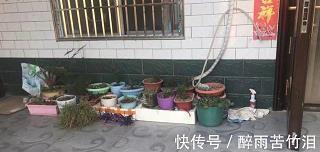 关于母亲感人暖心的句子