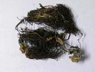 美奂美轮