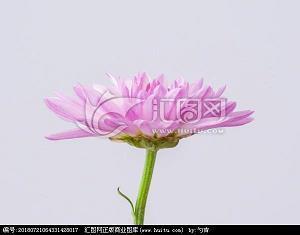 鼓励女人打扮的句子