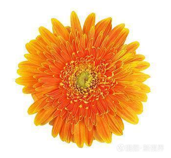 三八妇女节祝福语简短2020