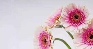 元宵节祝福父母的话