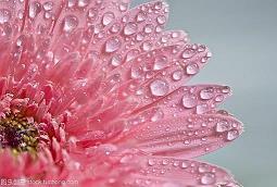 中秋节给老师的祝福语优美文案(精选76条)