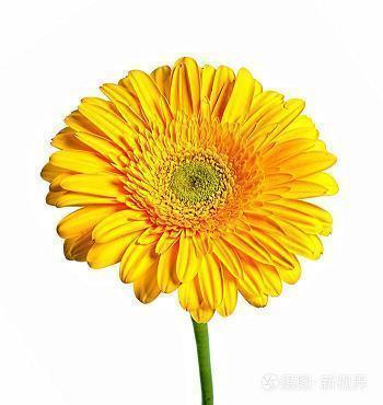 朋友圈很火的爱情说说大全